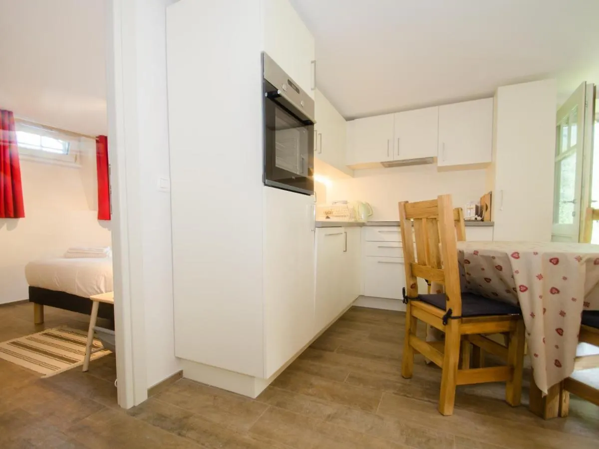 Appartement Chamonix-Mont-Blanc, 3 pièces, 4 personnes - FR-1-343-206 Chamonix